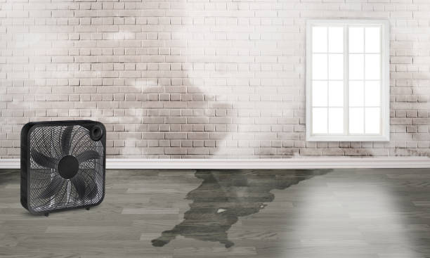Best Emergency water damage restoration  in Old Greenwich, CT