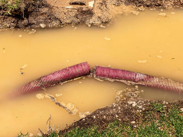  Old Greenwich, CT Water damage restoration Pros